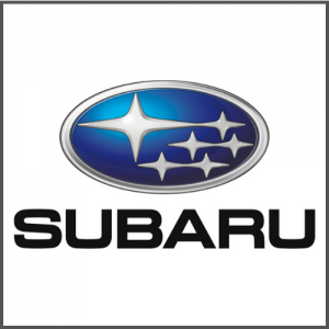 Subaru Panel Boot Liner