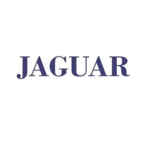 Jaguar Boot Protectors