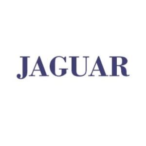 Jaguar Fully Tailored Boot Liners